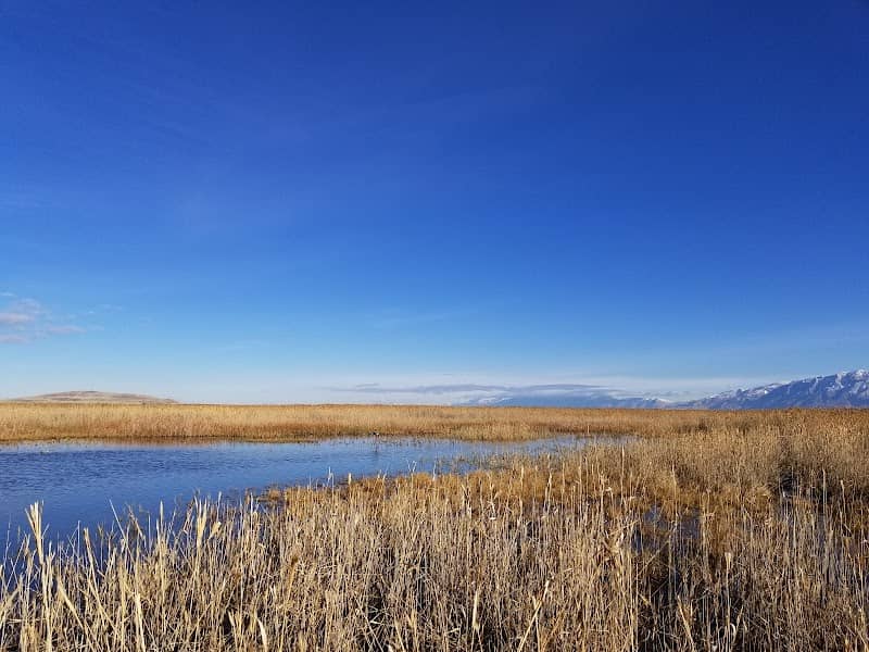 Ogden Bay Waterfowl Management Area - Image 1