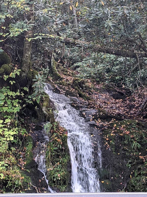 Cliff Branch Falls - Image 1