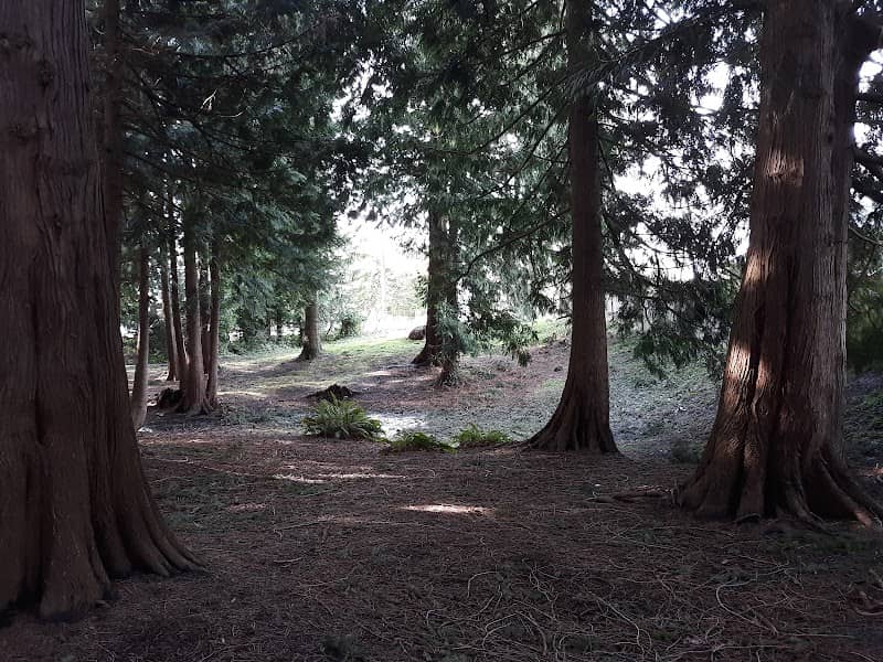 Church Creek Park - Image 1