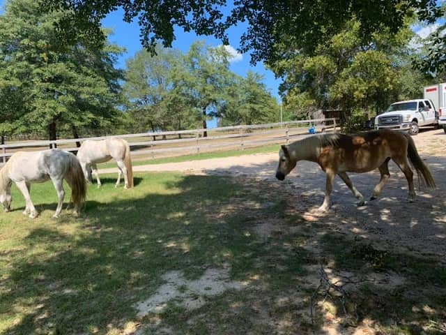 Renfroe Ranch Campground - Image 1