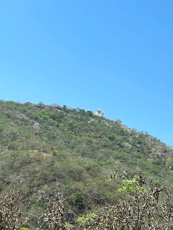 View Point - Image 1