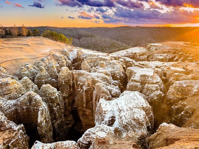 Cathedral of Nature - Image 2