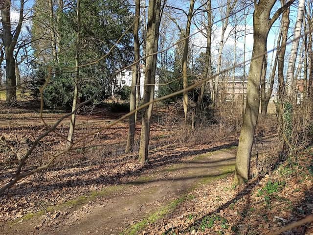 Schloß Park - Image 1