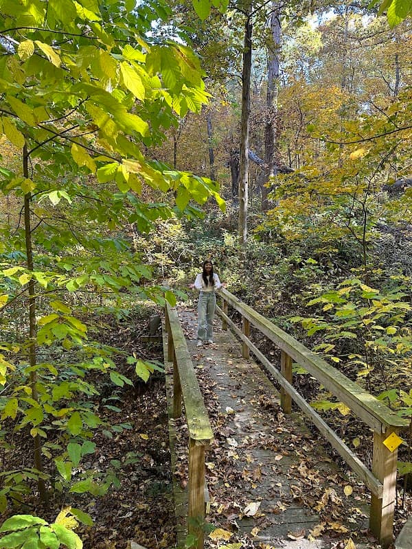 Steyermark Woods Conservation Area - Image 1