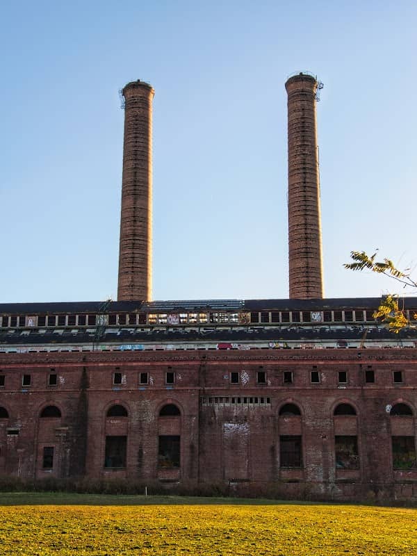 The Plant - Image 1