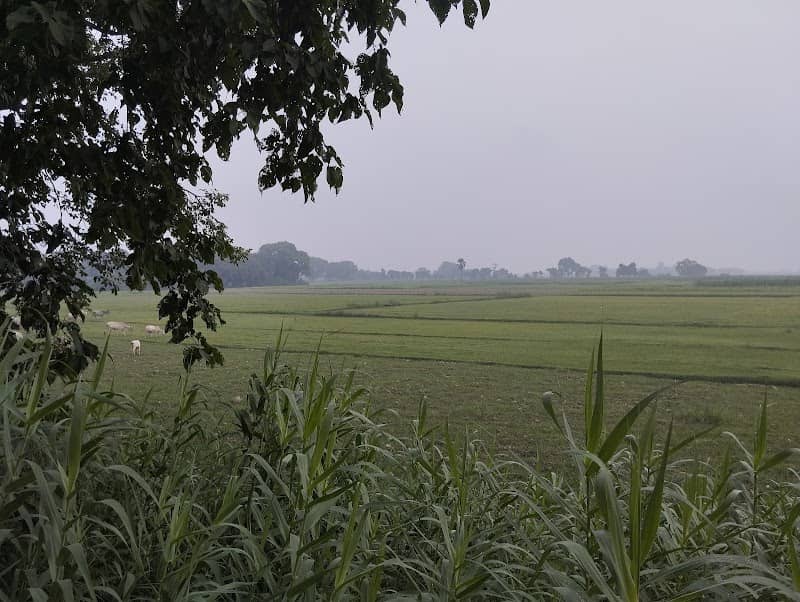 Jessamine St Landing - Image 1