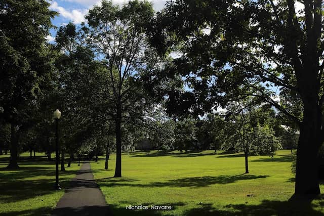 Chapin Park - Image 1