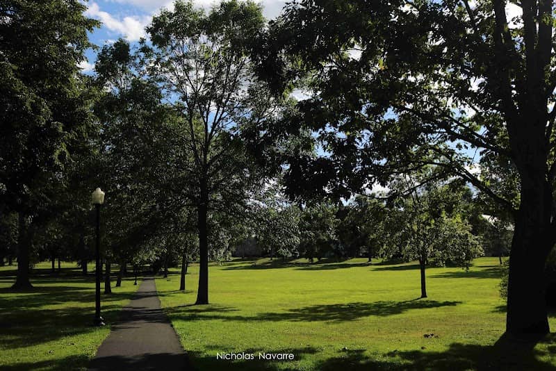 Chapin Park - Image 1