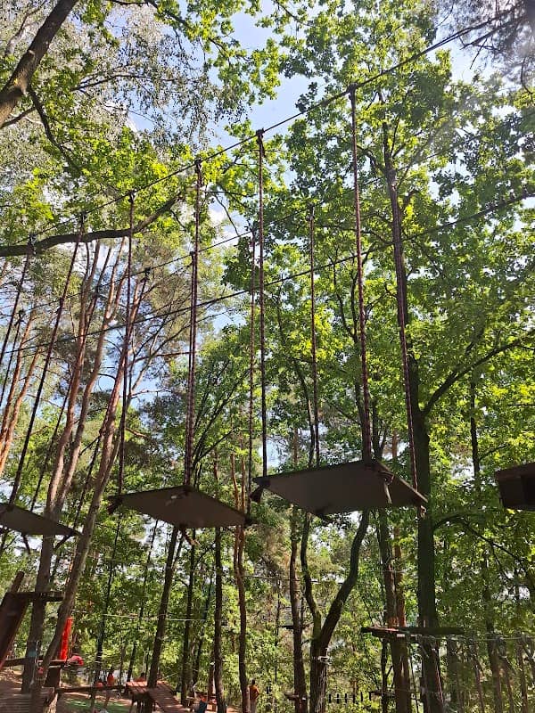 Park linowy nad Zalewem Brodzkim - Image 1