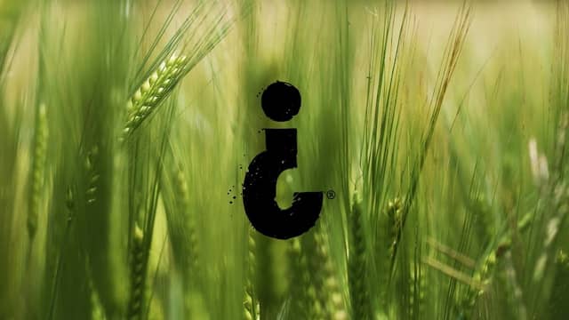 Ethanology Distillation - Image 1