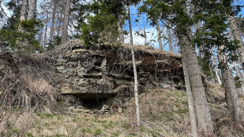 Bunker im Wald - Image 1