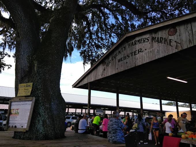 WEBSTER FLEA MARKET - SUMTER COUNTY FARMERS MARKET - Image 2