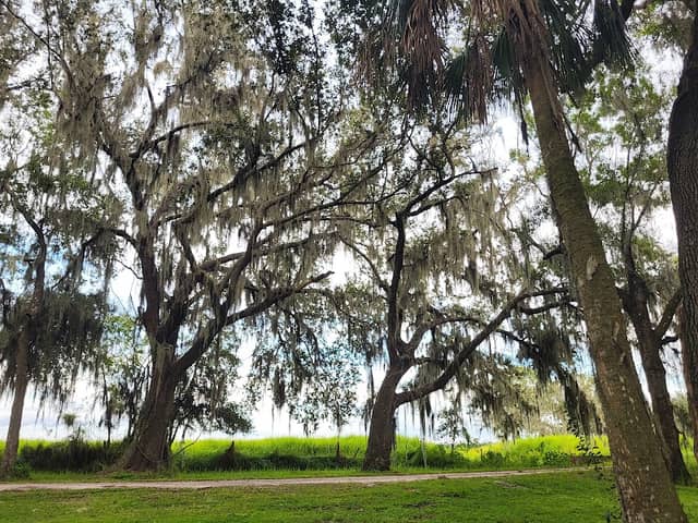 Fort Meade Outdoor Recreation Area - Image 1