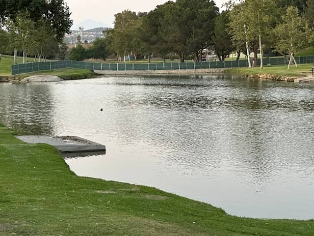 Craig Park Lake - Image 2