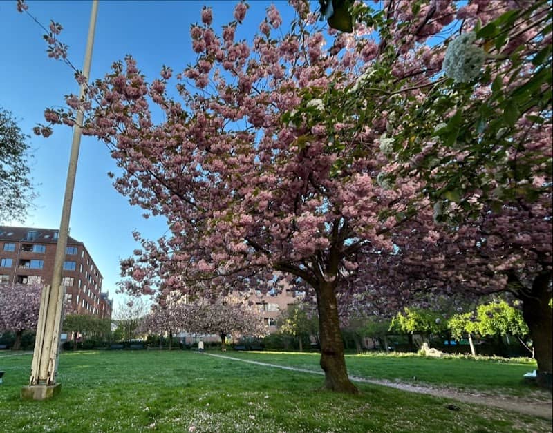 Hostrups Have park - Image 1