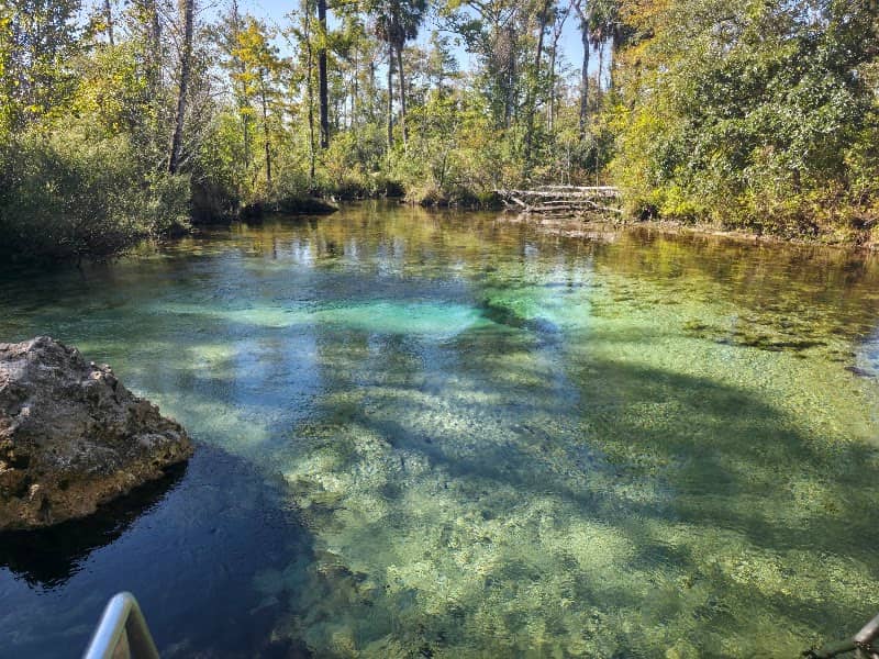 Econfina Creek Water Management Area - Image 1