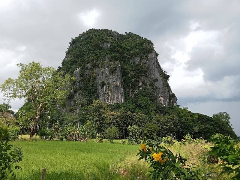Doi Pha Chang - Image 1