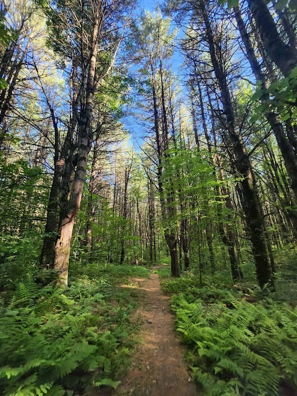 Mud Pond Country Park - Image 1