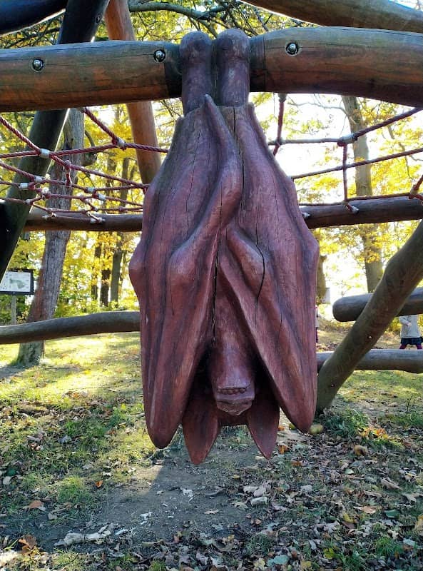 Fledermauserlebnisgarten - Image 1