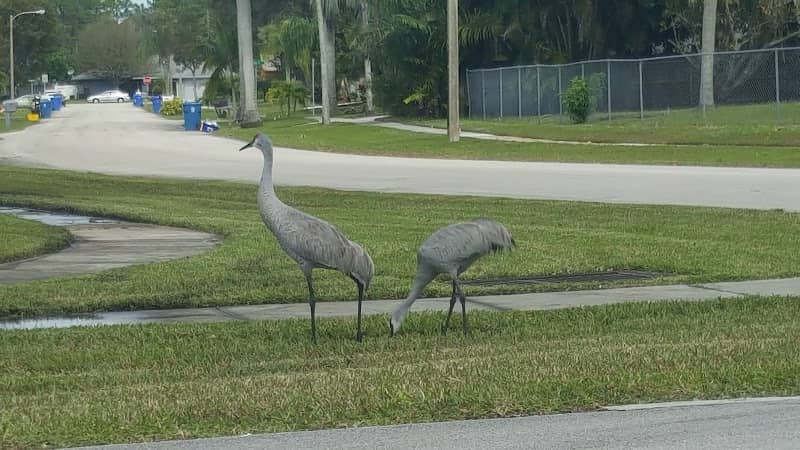 Earthday Park - Image 2