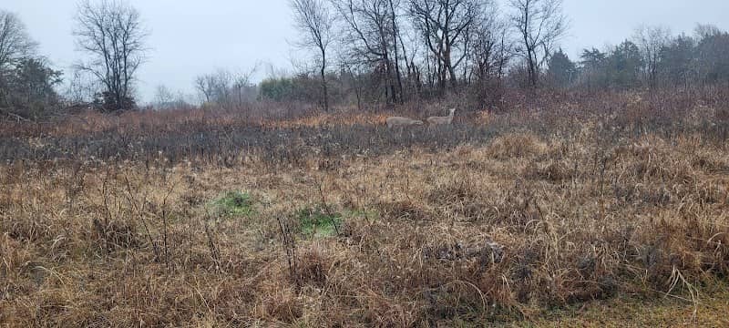Liberty Grove CampGround - Image 1