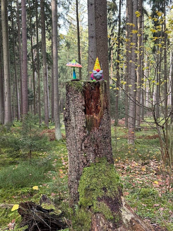 Zwergerl Wald - Image 1