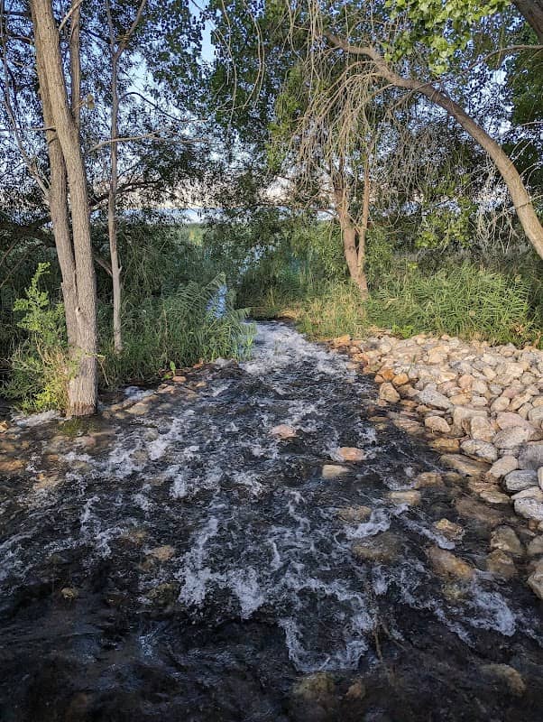 The Springs Community Park - Image 1