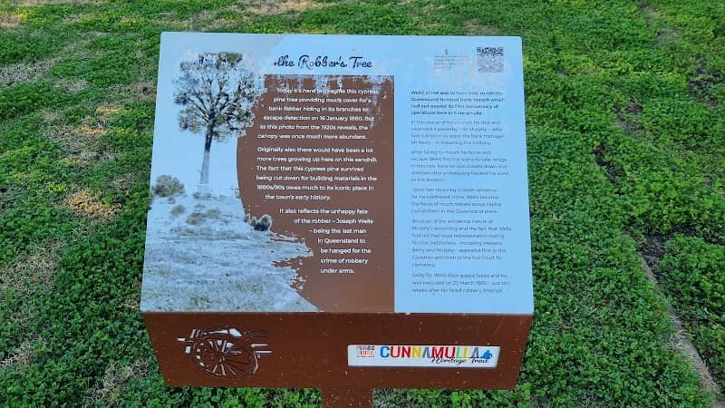 The Robbers Tree - Image 1