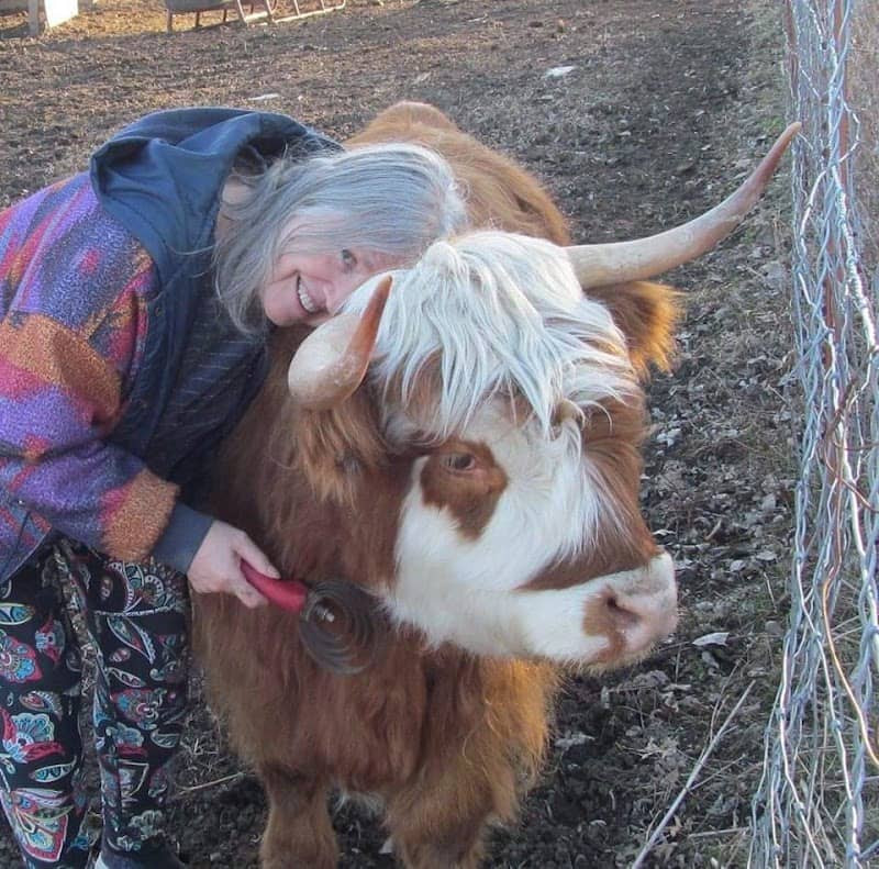 Fangthorn Forest Farm - Image 1