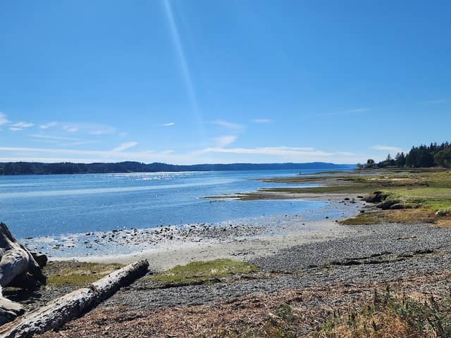 Belfair State Park - Image 1