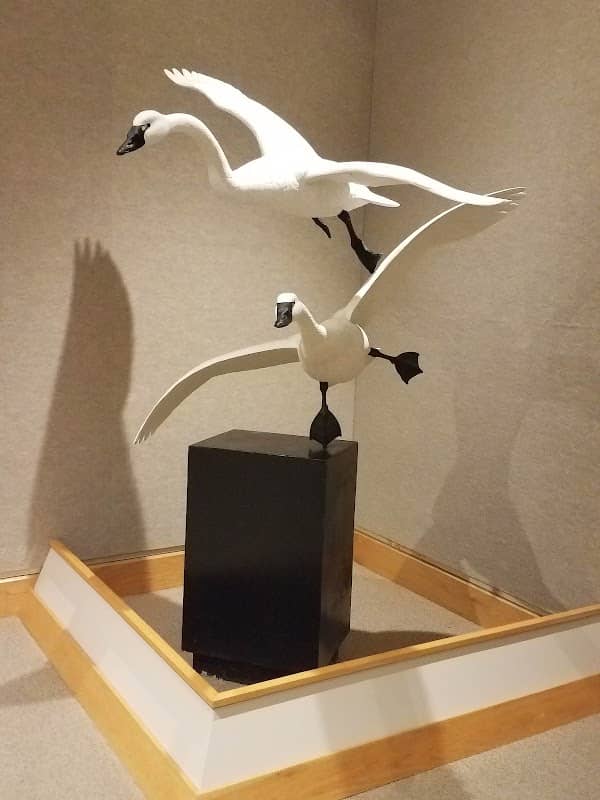 The Ward Museum of Wildfowl Art - Image 1