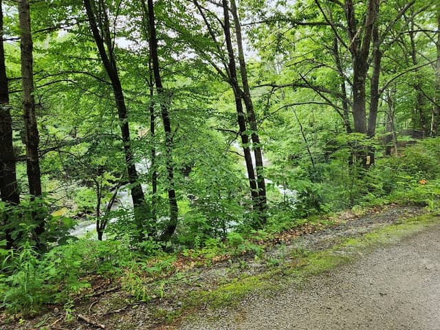 Northern Rail Trail Parking (limited) - Image 1