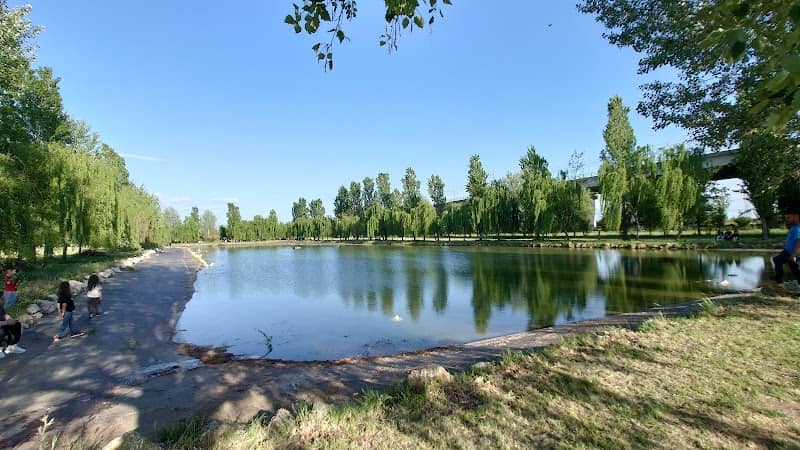 Ring Verde - Image 1