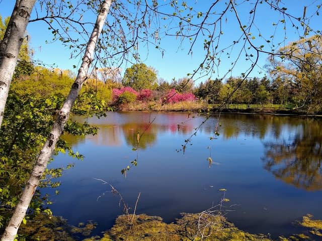 Seasons Park - Image 2
