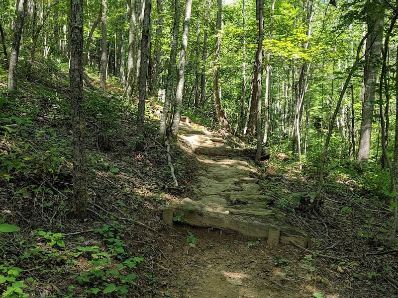 IC DeHart Memorial Park - Image 2