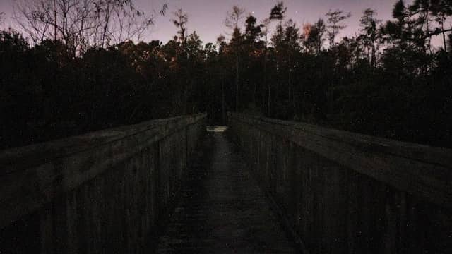 Dock on Market Ave - Image 1