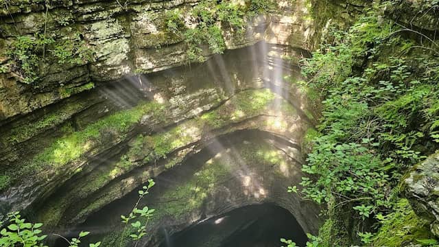 Neversink Cave Preserve - Image 1