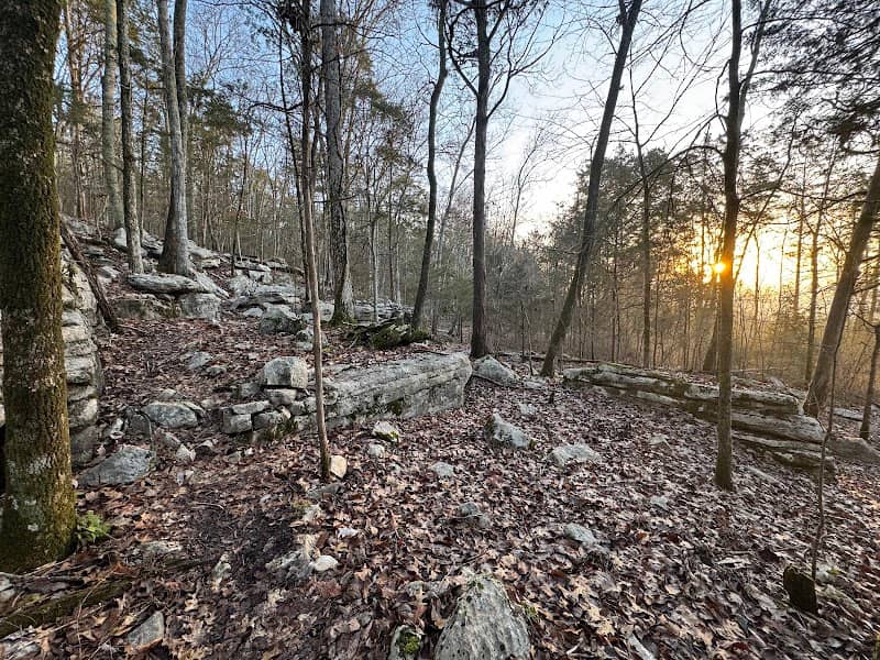 Neversink Cave Preserve - Image 2