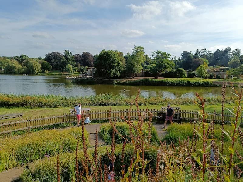Water Maze - Image 1