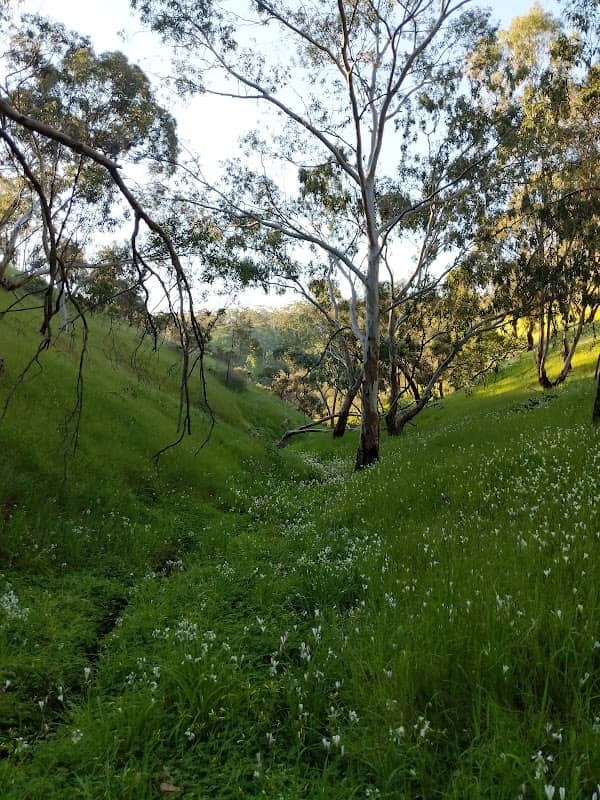Watiparinga Reserve - Image 1
