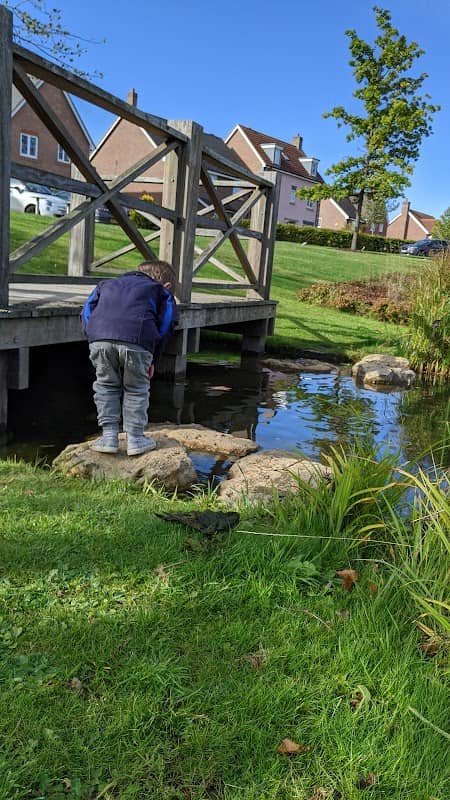 Monksmoor Park Pond - Image 1