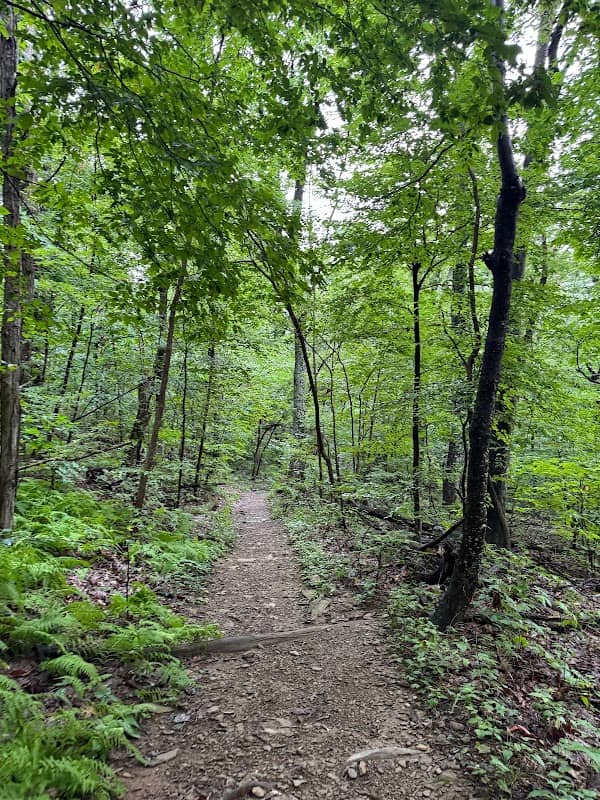 Humpback Rocks Trailhead - Image 1