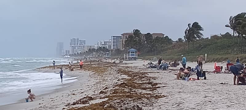 Hollywood beach parking - Image 1