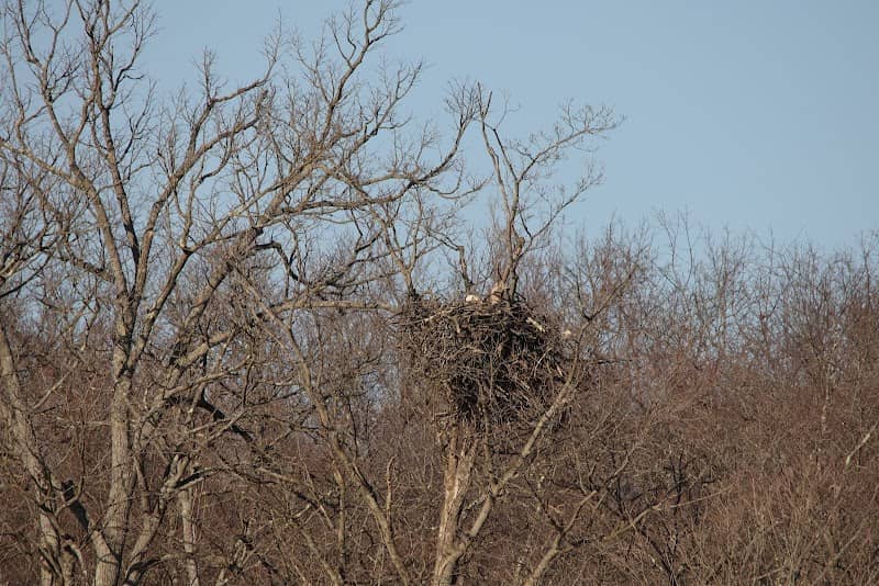 Eagle's nest - Image 2