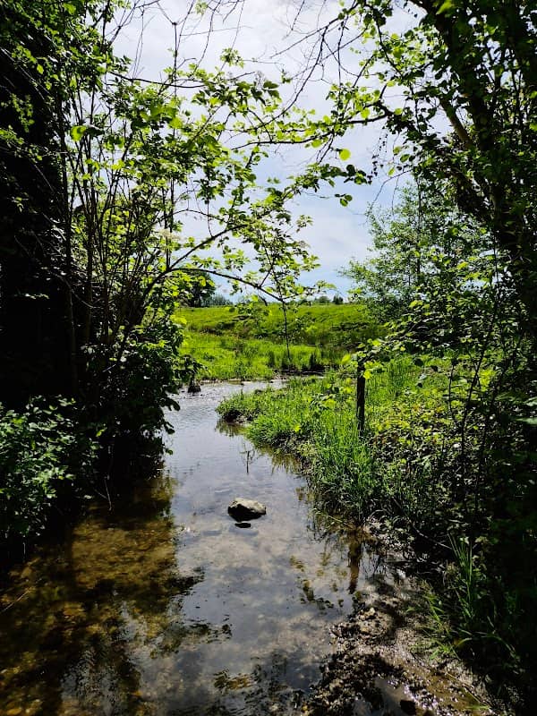 Doorwaadbare beek - Image 1