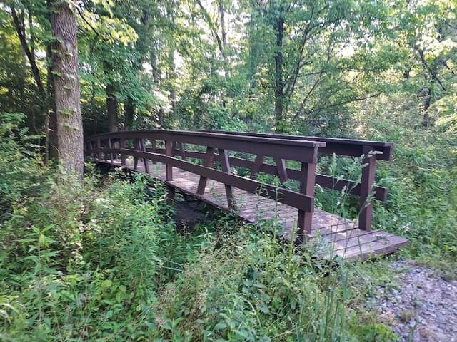 Forest Fun Habitat Trail - Image 2