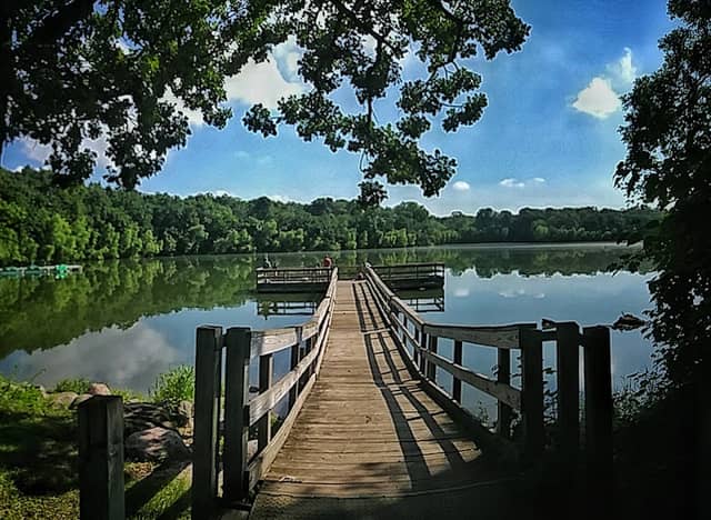 Hyland Lake Park Reserve - Image 3