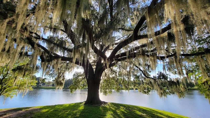Tuscawilla Park - Image 1