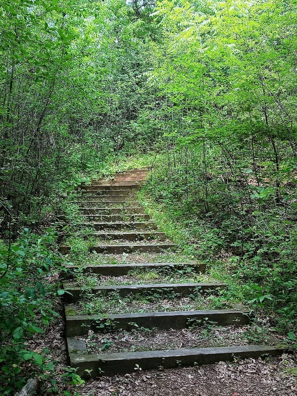 Innsbruck Nature Center - Image 2