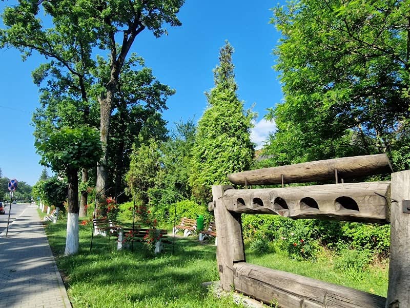 Parcul Central - Image 1